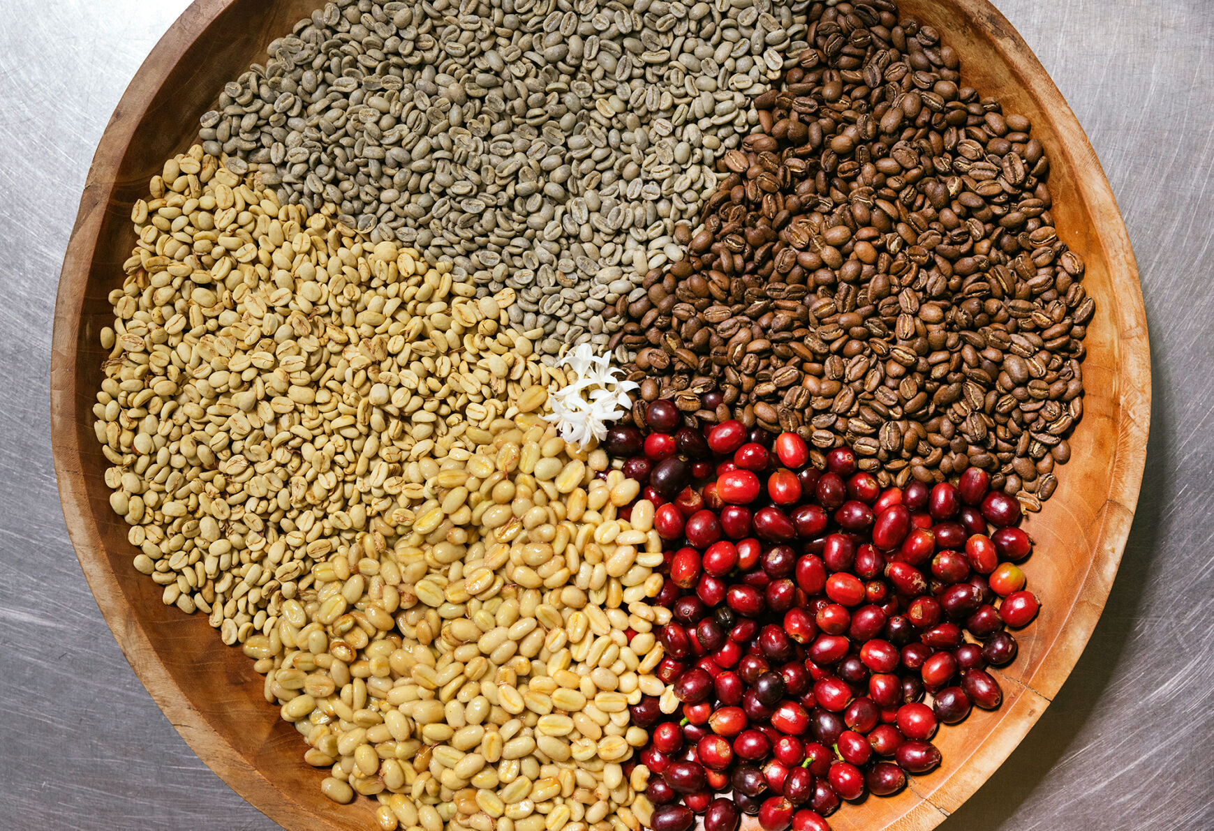 Frinj coffee stages